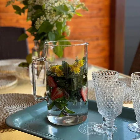Apartment Nemcice U Boskovic