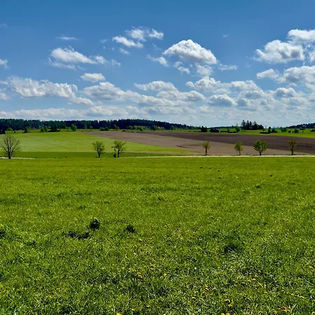 Appartement Nemcice U Boskovic *